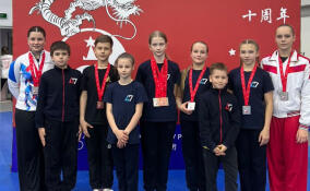 Всеволожские ушуисты завоевали 11 медалей на международном турнире