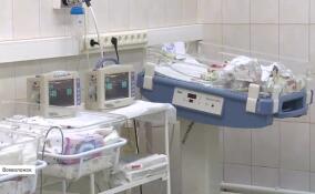 Съемочная группа ЛенТВ24 навестила новорожденную, выброшенную собственной матерью из окна на прошлой неделе в Невской Дубровке