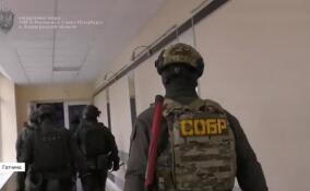 Должностные лица Гатчинского университета стали фигурантами уголовного дела об организации канала незаконной миграции