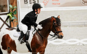 Ленинградская спортсменка завоевала комплект медалей на чемпионате России по паралимпийской выездке