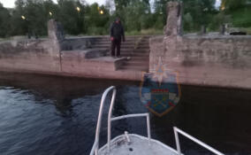 Спасатели эвакуировали мужчину с разрушенной пристани в Ленобласти