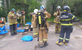 Большие летние учения ПСО «Экстремум» пройдут в Лопухинке 21-22 июня