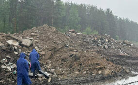 Росприроднадзор проверяет нелегальную свалку у «Невского пятачка»