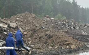 Росприроднадзор заинтересовался несанкционированной свалкой рядом с Невским пятачком