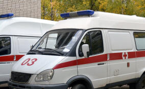 В Ленобласти годовалый ребенок выпал из окна второго этажа