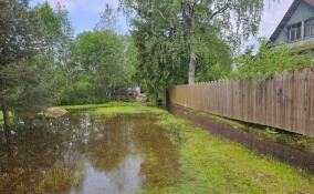 Из-за сильных осадков в Гатчинском округе подтопило несколько населенных пунктов