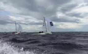 В Петербурге проходит второй этап Кубка России по парусному спорту