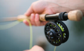 В Выборгском районе школьник выловил из Сказочного озера сумку с оружием