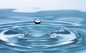 В Приозерском районе утонул человек