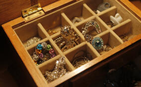 Из дома жительницы Колтушей вынесли драгоценности и около 300 тысяч рублей наличными