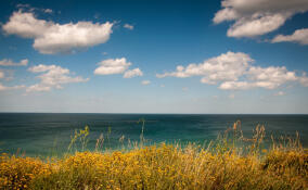 На озере Высокинское ищут пропавшего мужчину