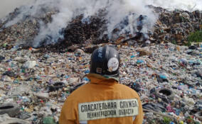 В Тосненском районе проверили воздух вблизи тлеющего полигона