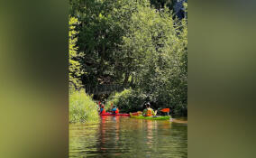 По реке Сестра хотят проложить новый водный экомаршрут