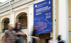 Точка сборки: зачем на ПМЭФ летят и едут со всего мира