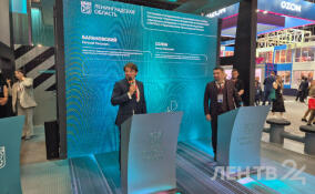 В Ленобласти будут развивать региональные производства