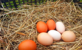 Сергей Перминов положительно оценил идею продвижения фермерской продукции торговыми сетями