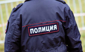 В Петербурге прошел рейд по торговым объектам