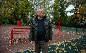 В Ленобласти до 2035 года благоустроят все дворы МКД