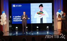 В Гатчине торжественно наградили медработников