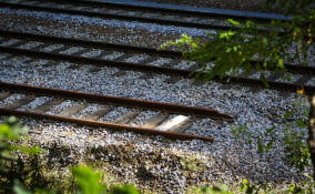 15-летний подросток попал под поезд на станции Ржевка