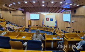 Причины повышения тарифов на электроэнергию обсудили Александр Дрозденко и депутаты ЗакСа Ленобласти