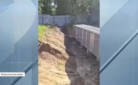 Незаконную криптоферму обнаружили в дачном массиве под Всеволожском