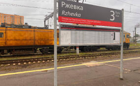 Электричка сбила 15-летнего подростка на станции Ржевка