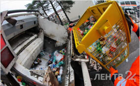 В Ленобласти выросли штрафы за создание препятствий вывозу мусора