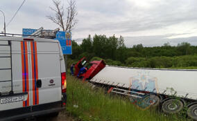 На М-10 фура вылетела в кювет