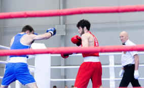 Ленинградские боксеры взяли комплект медалей на чемпионате СЗФО