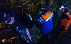 Двое погибли и трое пострадали в ДТП на трассе «Кола»