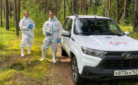 В лесах Ленобласти этой весной разложили 400 тысяч доз вакцины от бешенства