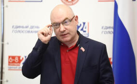 Кандидат в губернаторы Малинкович попросил Леноблизбирком изменить название онлайн-приложения для спецсчетов