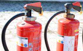 Сотрудники МЧС провели занятия в детском лагере Приозерского района