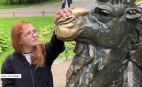 Две девушки из Горловки побывали в Ленобласти и Петербурге