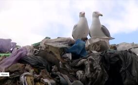 Кому порядок в доме жить мешает