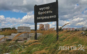 Нелегальная свалка в Заневском поселении ликвидирована