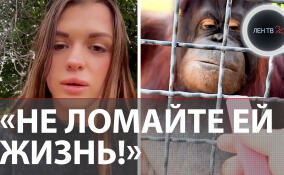 «Не ломайте Насте жизнь!»: в крымском «Тайгане» заступились за спортсменку, давшую вейп орангутану Дане