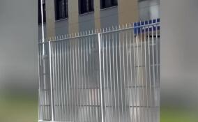 Уличный грабитель в Кудрово сам прибежал в отдел полиции