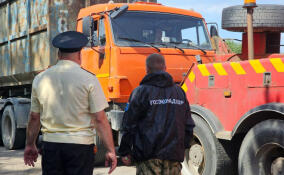 Более 30 единиц спецтехники изъяли у эконарушителей в Ленобласти с начала года