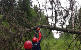 В Ленобласти службы ЖКХ перешли на усиленный режим работы из-за «желтого» уровня погодной опасности