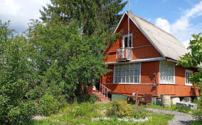 Ленинградские СНТ могут получить субсидии на строительство и реконструкцию объектов инфраструктуры