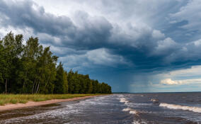 Синоптик Леус: ветер в Ленинградской области начал ослабевать