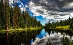 Гатчинские коммунальщики должны выплатить более 40 млн рублей за загрязнение Ижоры