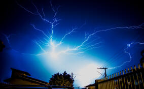 Спасатели Ленобласти приняли 430 заявок на ликвидацию последствий шторма