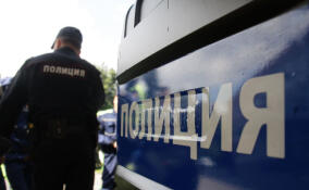 В Гатчине задержали подозреваемого в убийстве, совершенном 23 года назад