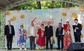 В Ленобласти прошли торжества, приуроченные ко Дню семьи, любви и верности