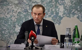 Жительница Лодейного Поля пожаловалась губернатору на состояние грунтовки и работу бани