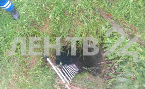 В Ленобласти спасли мужчину и собаку, упавших в колодец