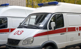 В санатории в Волховском районе умер 13-летний подросток